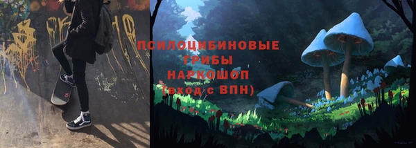 бутират Пересвет