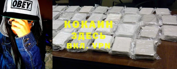 твердый Алзамай
