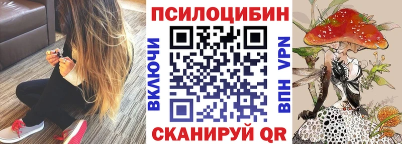 darknet Telegram  Североуральск  Галлюциногенные грибы MAGIC MUSHROOMS 
