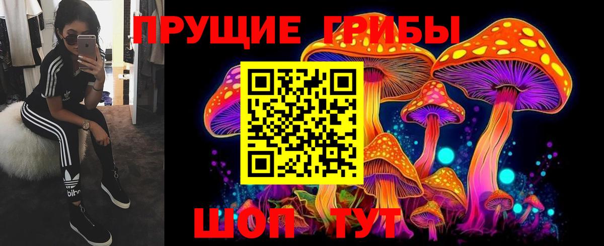 Псилоцибиновые грибы Cubensis  Вход с VPN  Североуральск  Галлюциногенные грибы мицелий 
